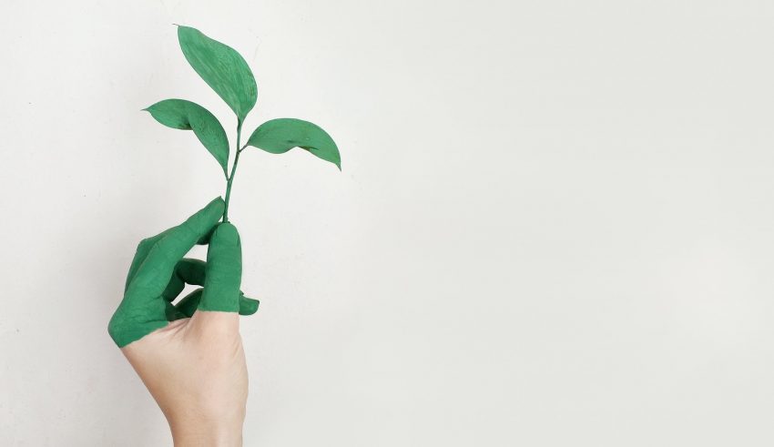 Sostenibilidad en el viaje